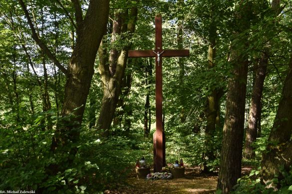 Krzyż cmentarny w Zaborze Wielkim