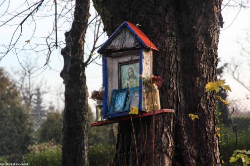 Kapliczka skrzynkowa na drzewie w Łodzi