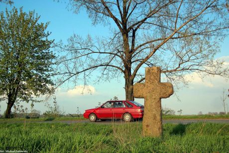 Krzyż pokutny, Nowojowice, Strzelin